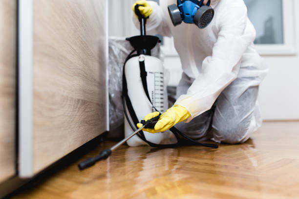 Pest Control Cost in Laingsburg, MI