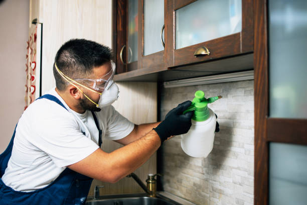 Best Rat Extermination Near Me  in Laingsburg, MI