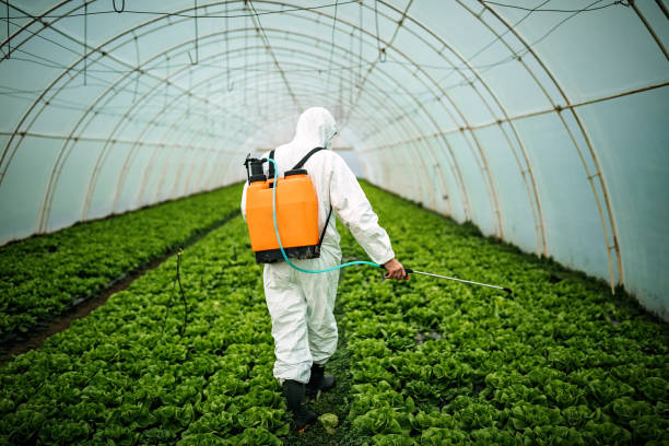 Best Pest Control Cost  in Laingsburg, MI