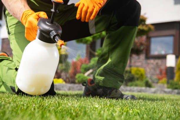Best Emergency Pest Control  in Laingsburg, MI