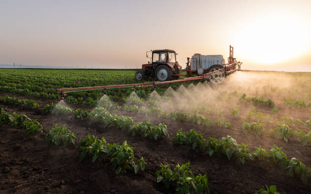 Best Pest Removal Services  in Laingsburg, MI