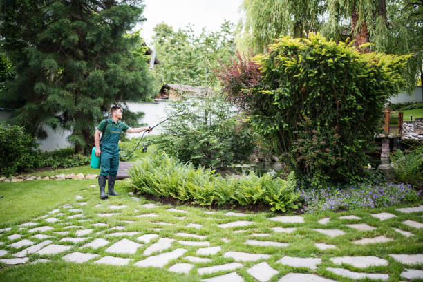 Best Pest Control Near Me  in Laingsburg, MI