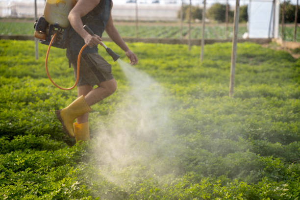 Reliable Laingsburg, MI Pest Control Solutions