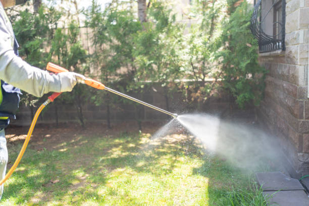 Best Residential Pest Control  in Laingsburg, MI