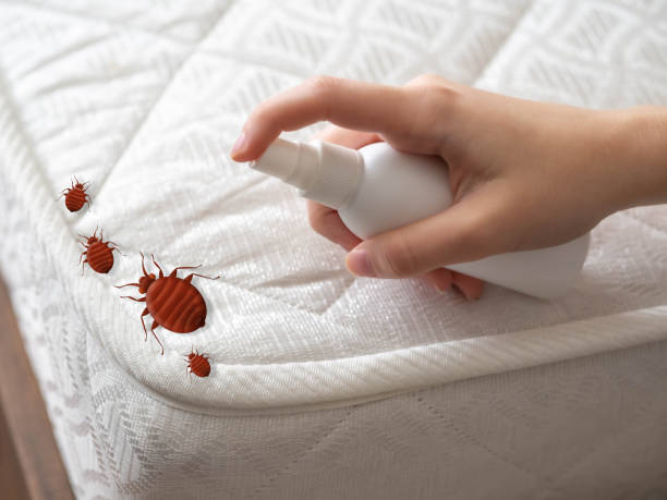 Best Wasp Removal Services  in Laingsburg, MI