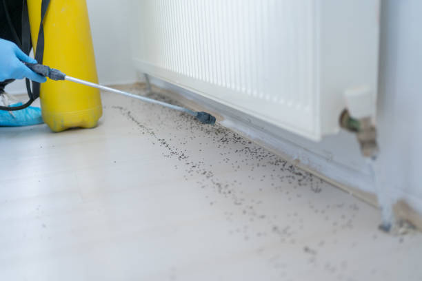 Best Affordable Pest Control Services  in Laingsburg, MI