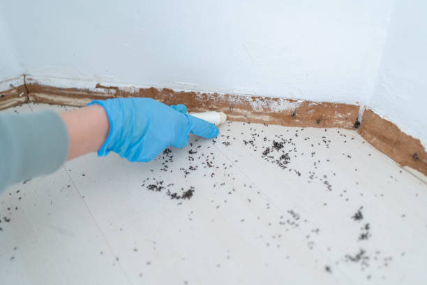 Best Pest Control Treatment  in Laingsburg, MI