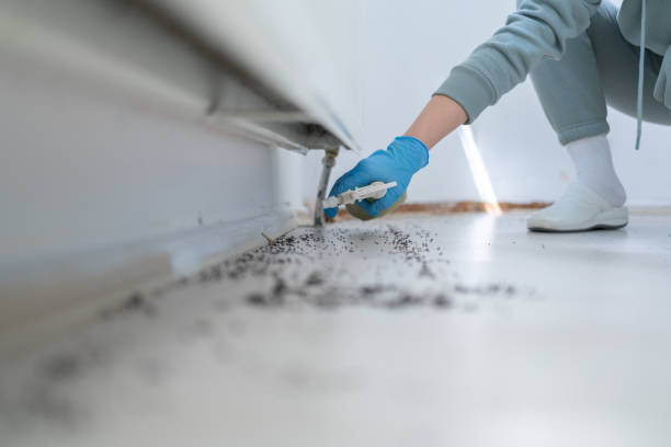 Best Mosquito Control Services  in Laingsburg, MI
