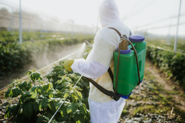 Best Pest Control for Homes  in Laingsburg, MI